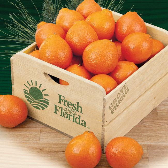 Seasonal Shipping Update: Available Citrus Varieties & More