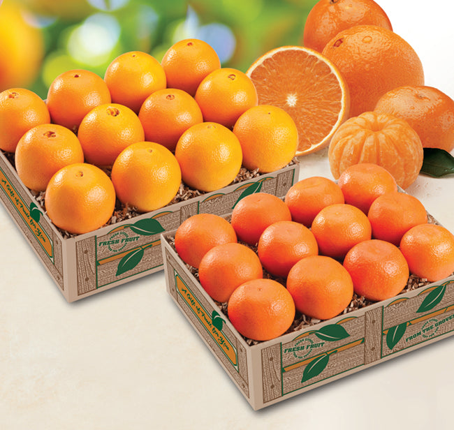 Navel Oranges and Tangerines in gift boxes for shipping and delivery.