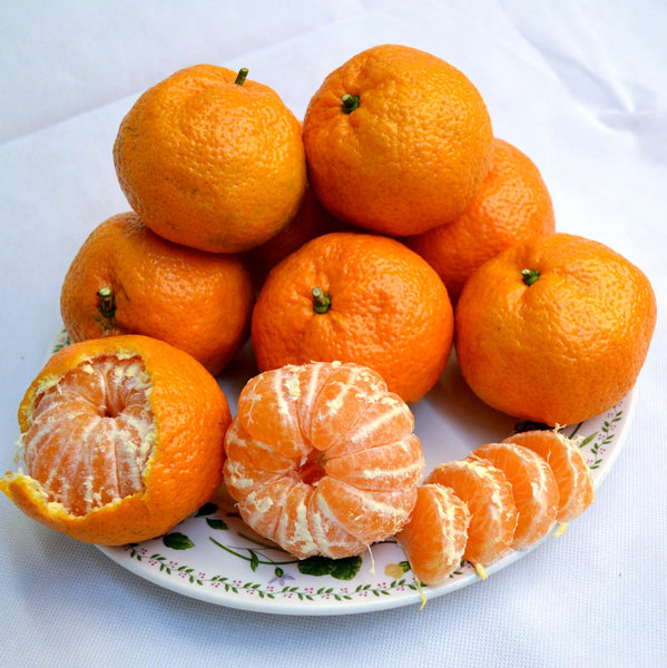 The Satsuma Mandarin