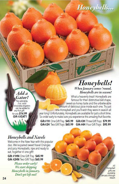 Honeybell Oranges Gift Boxes - Catalog page for Hyatt Fruit Company of Indian River County, Florida