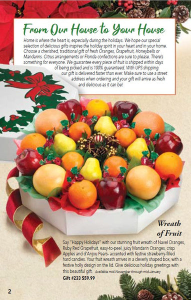 The Original Wreath of Fruit (Large)