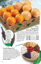 Box of navel oranges and Ruby Red grapefruit on Hyatt Fruit Company catalog page 4.