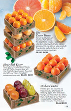 Fruit box with navel oranges and grapefruit on a catalog page from Hyatt Fruit Company.