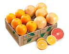 Florida Navel Oranges with Ruby Red Grapefruit - Hyatt Fruit Company Florida
