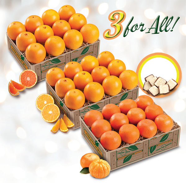 Three For All - Oranges Gift Set incl. Scarlet & Classic Navels and Mandarins