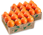 Honeybells - 2 Shipments, First and Last of the Season.