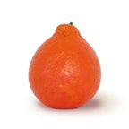 Honeybell Fruit Florida