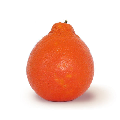 Honeybell Fruit Florida