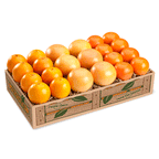 Holiday Grand Slam Florida Gift Fruit containing Navel Oranges and Ruby Red Grapefruit, delivered in a gift box.