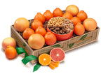 Honeybells and Grapefruit and Nuts Mix - Hyatt's Florida Oranges and Ruby Reds Gift Baskets. 
