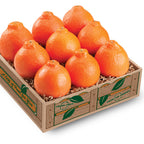 Hyatt Honeybell Taster Gift Box