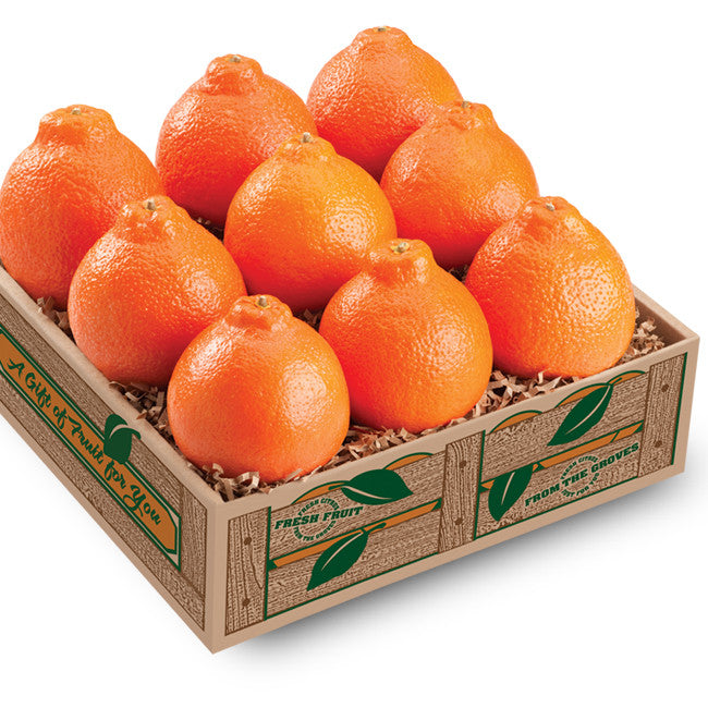 Hyatt Honeybell Taster Gift Box