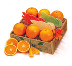 Gift fruit box with citrus-flavored jelly candies shaped as alligators, sold by Hyatt Fruit Company of Indian River County, Florida