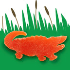 Citrus-flavored jelly candies shaped as alligators, sold by Hyatt Fruit Company of Indian River County, Florida