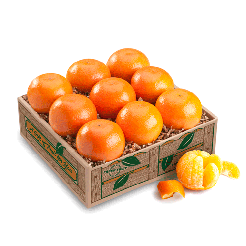 Mandarin Oranges Taster gift box featuring plump, sweet Florida mandarins, perfect vegetarian gift.