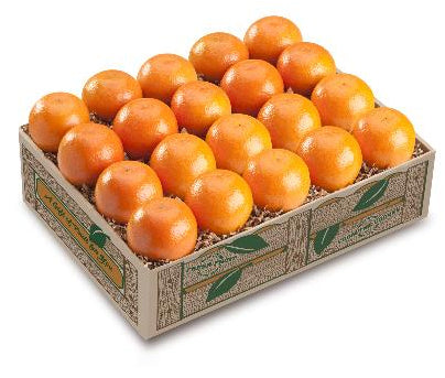 Mandarin Oranges, Snacking Cirtus Fruit for all! From Hyatt Fruit Company.