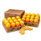 Florida Navel Oranges in Golden and Scarlet Red Varieties from Hyatt Fruit Company