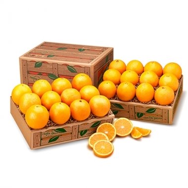 Florida Navel Oranges in Golden and Scarlet Red Varieties from Hyatt Fruit Company
