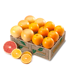 7 Florida Navel Oranges with 5 Ruby Red Grapefruit gift box.