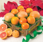 Sun-Kissed Sampler - 4 Citrus Varieties in a gift box for delivery.