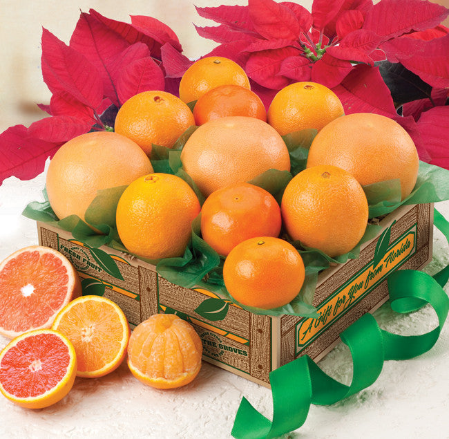 Sun-Kissed Sampler - 4 Citrus Varieties in a gift box for delivery.