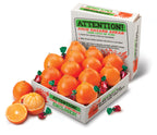 Juicy Honeybell Oranges Gift Box - Hyatt Fruit Company Citrus
